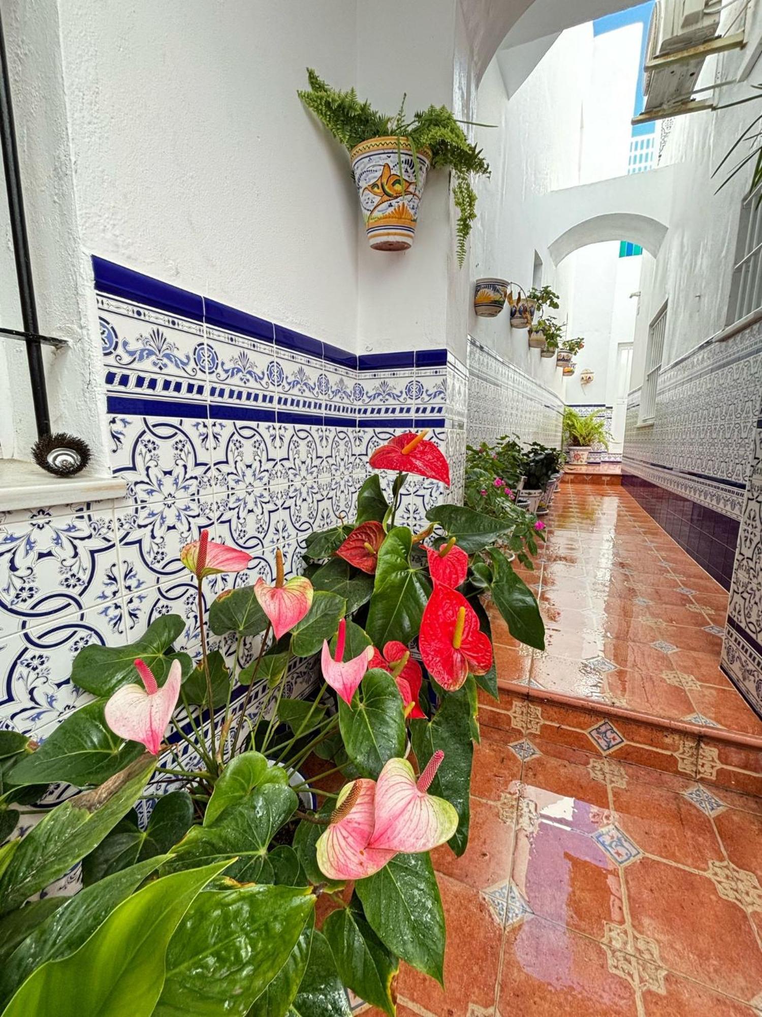 Pacoplaza Villa Conil De La Frontera Dış mekan fotoğraf